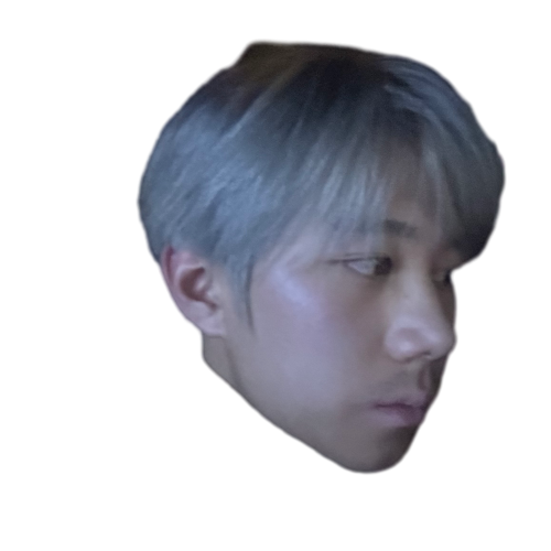 Custom icon 1